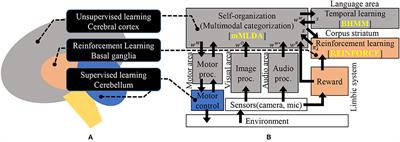 Integrated Cognitive Architecture for Robot Learning of Action and Language